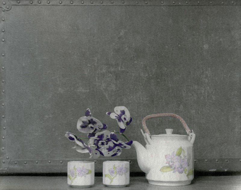 Teapot & Orchids