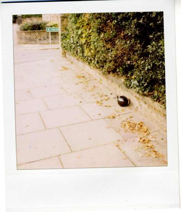 teapot