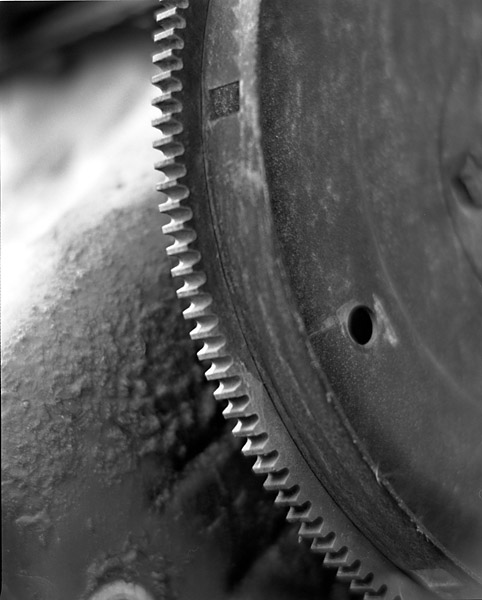 Teeth