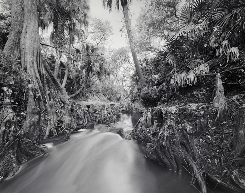 telegraph creek #1