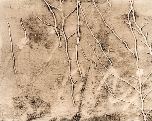 Tendrils
