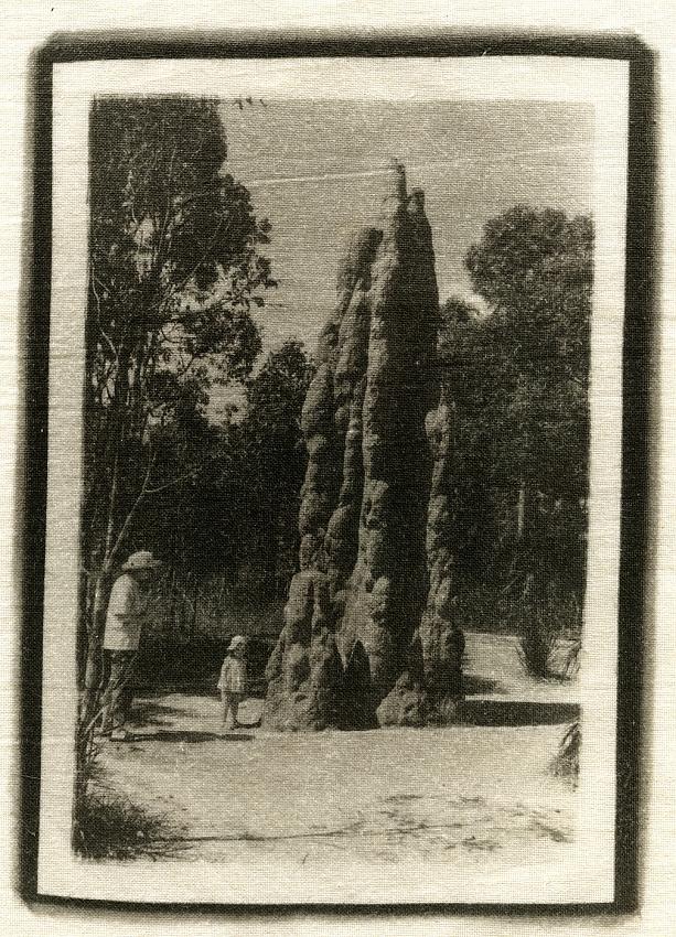 Termite mound - Litchfield National Park, NT Australia