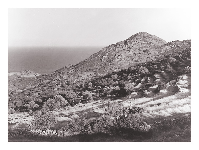 Terraces at Portes