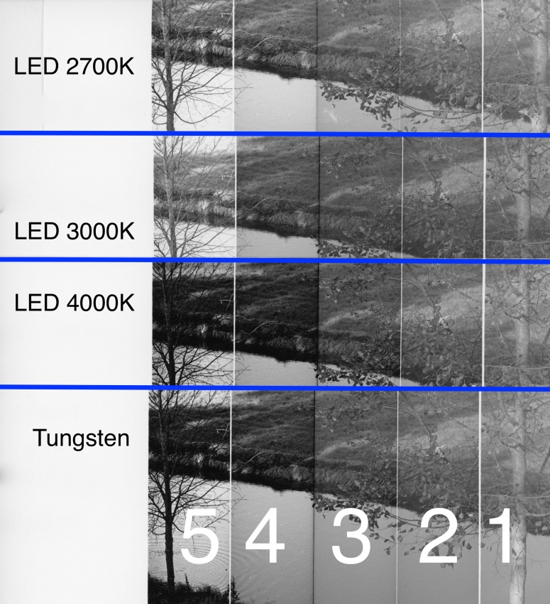 Test LED Bulbs