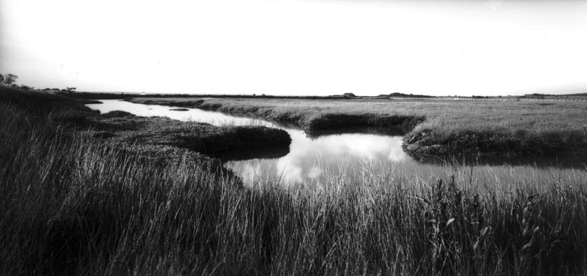 Test Roll in DIY Wide Angle 6x12 Camera