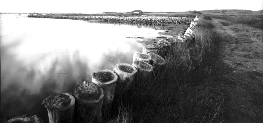 Test Roll in DIY Wide Angle 6x12 Camera