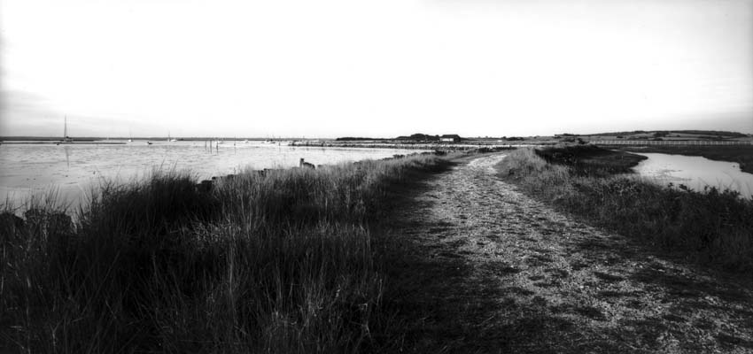 Test Roll in DIY Wide Angle 6x12 Camera