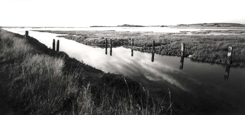 Test Roll in DIY Wide Angle 6x12 Camera