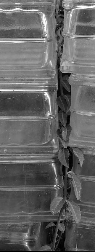 Test shots on outdated TMX - glass blocks blocked