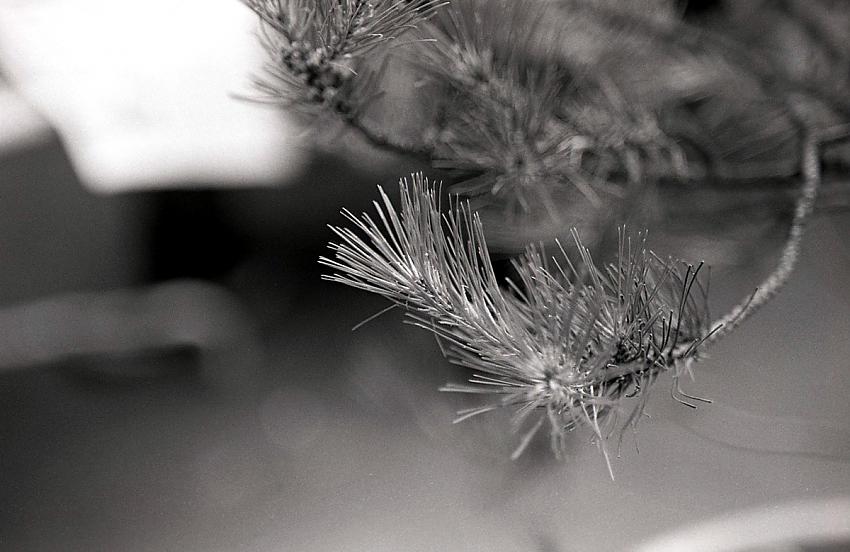 Testing my new Russian glass