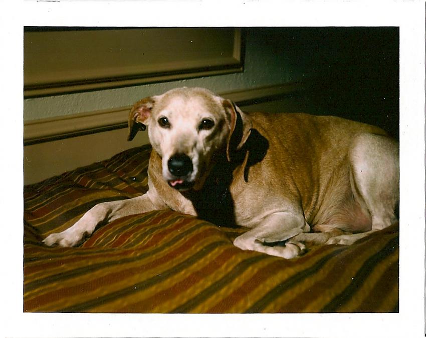 Testing Polaroid 104