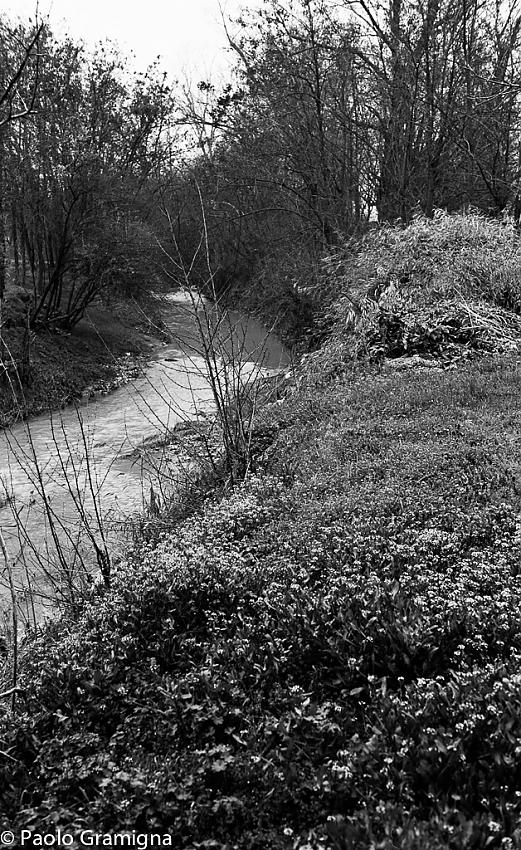 Testing some Fomapan Classic 100