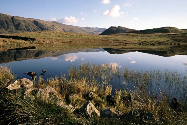 Tewit Tarn Reflections