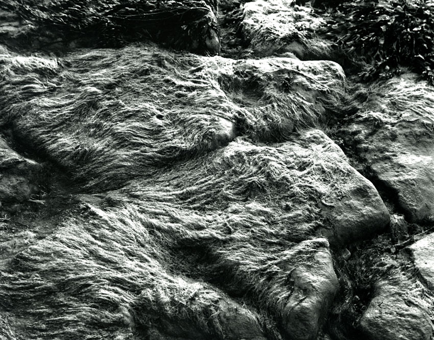 Texture