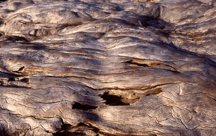 Texture