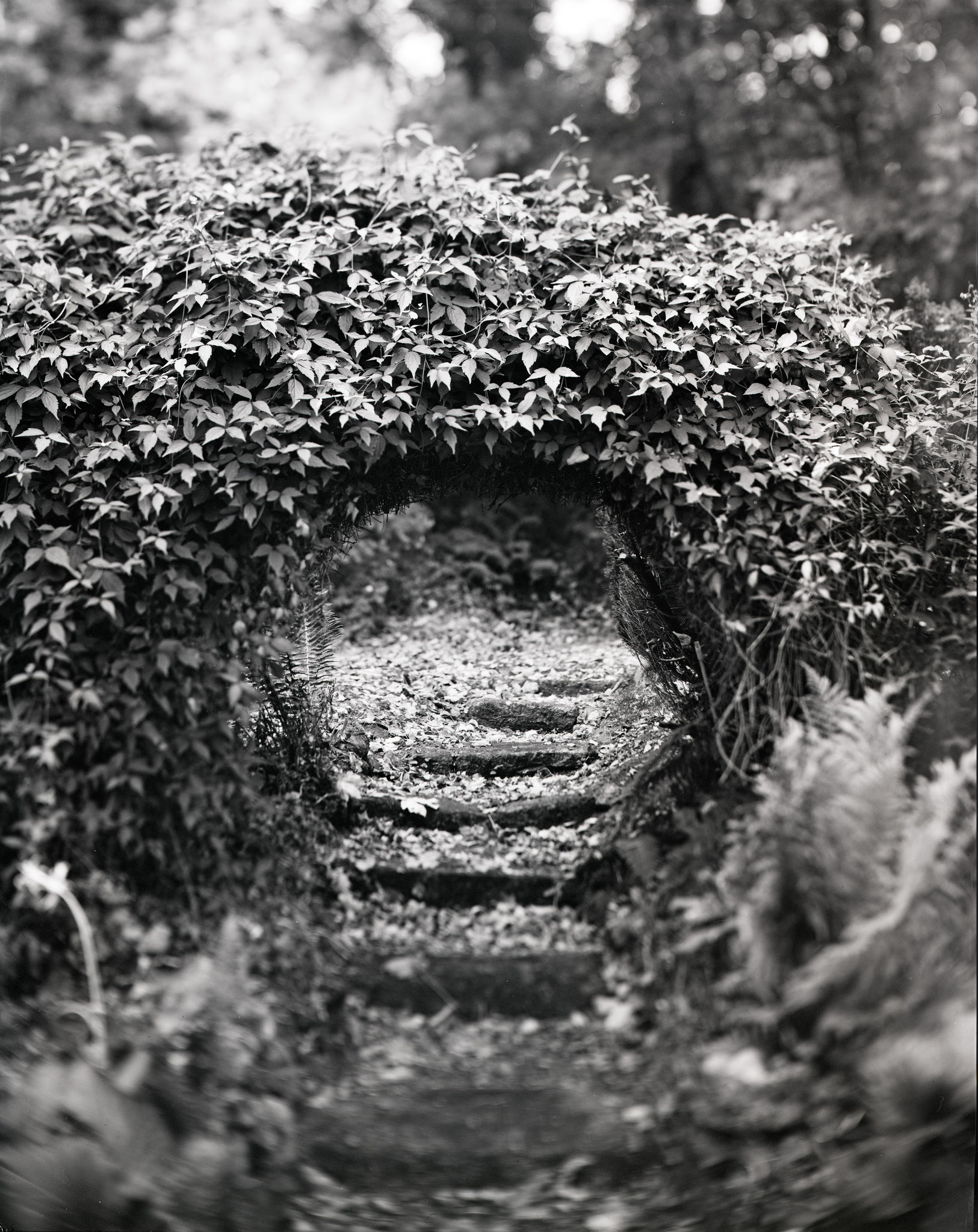 The (Ancient and ) Winding Stair