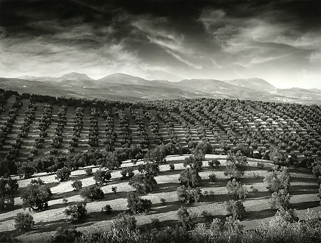 The Andalucia