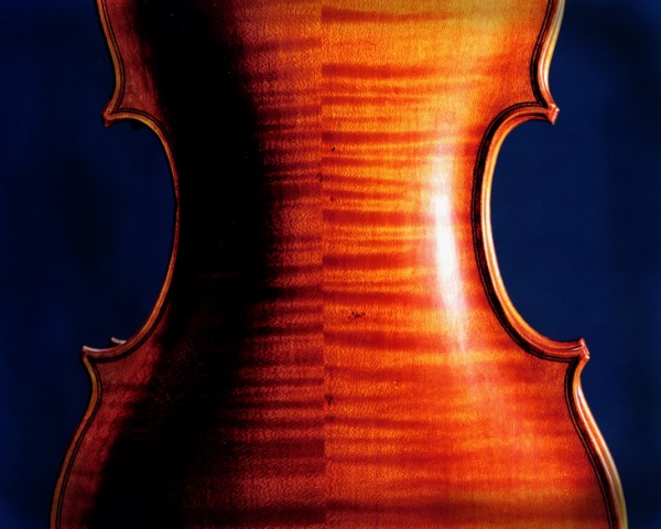 The Back