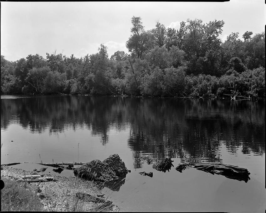 The Bayou at Ruddock II