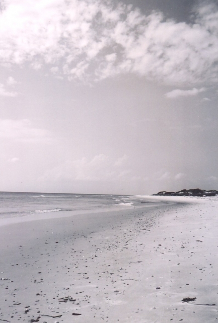 The Beach
