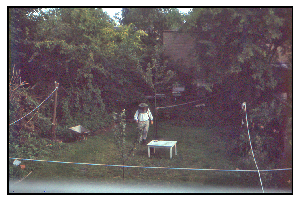 The Bee keeper