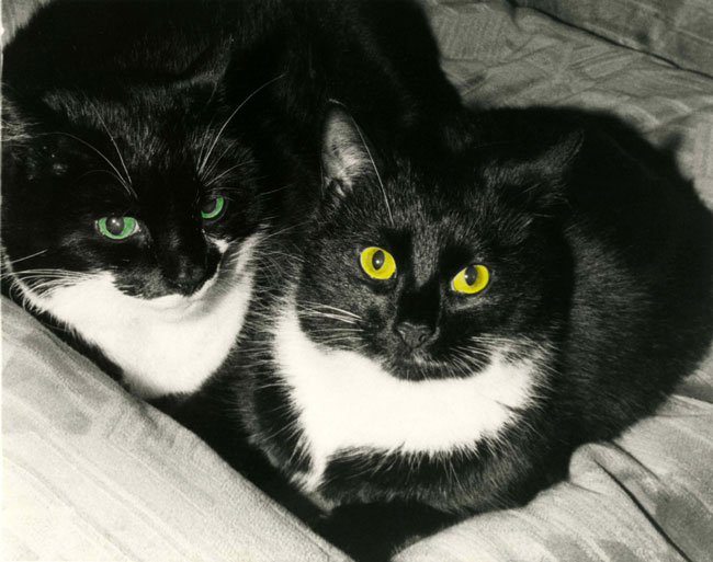 The Black and White Boys