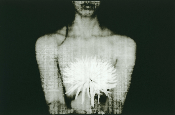 The Blossom