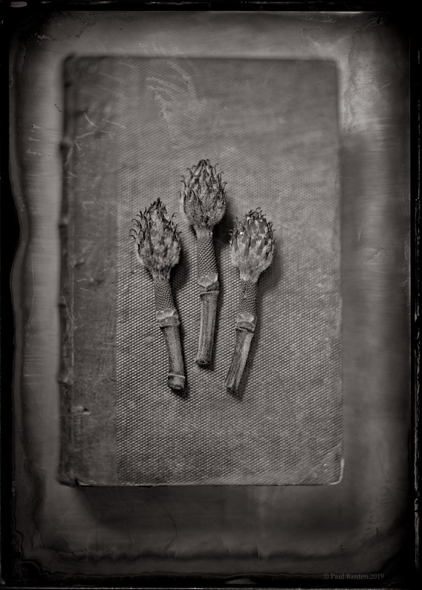 The Book of Exceptions, Vol.