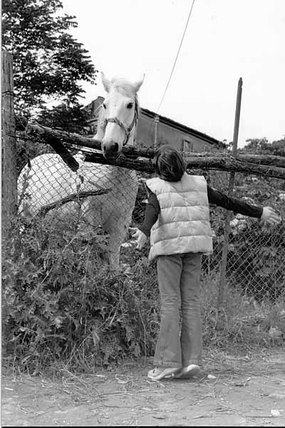 The boy and the horse