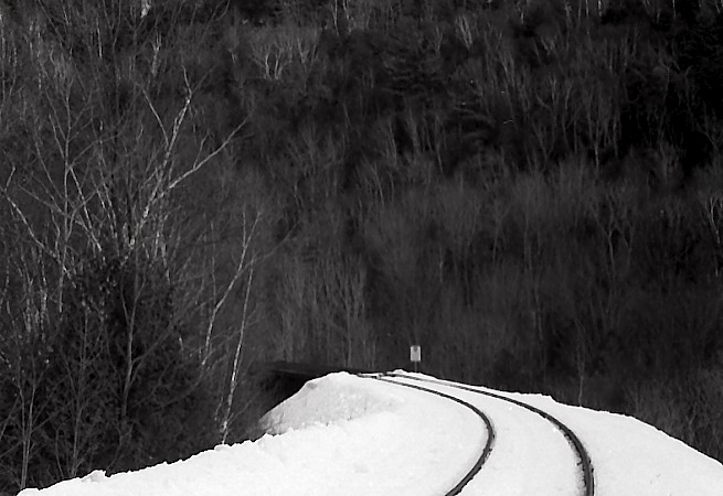 The Branch Line