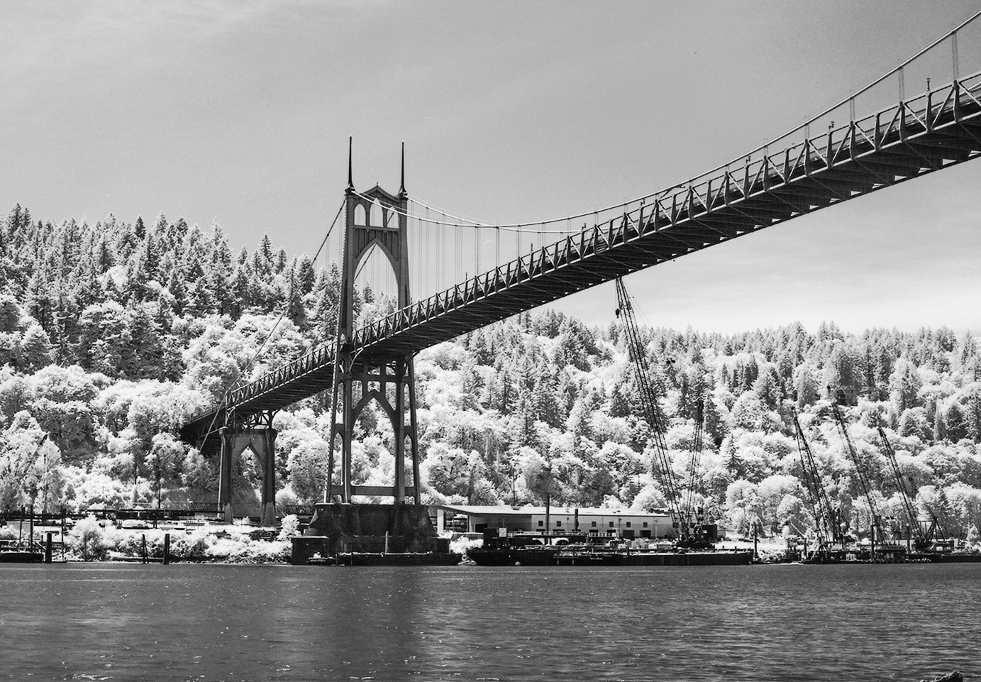 The Bridge in Summer