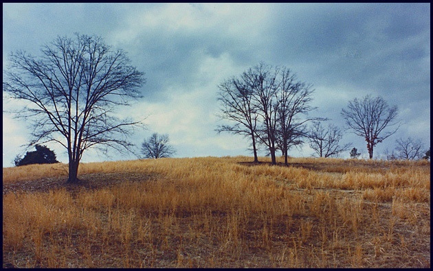 THe Broad River Hills: Comer, Ga. USA