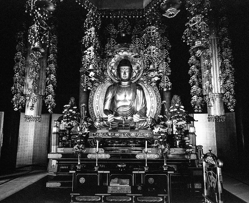 The Buddha