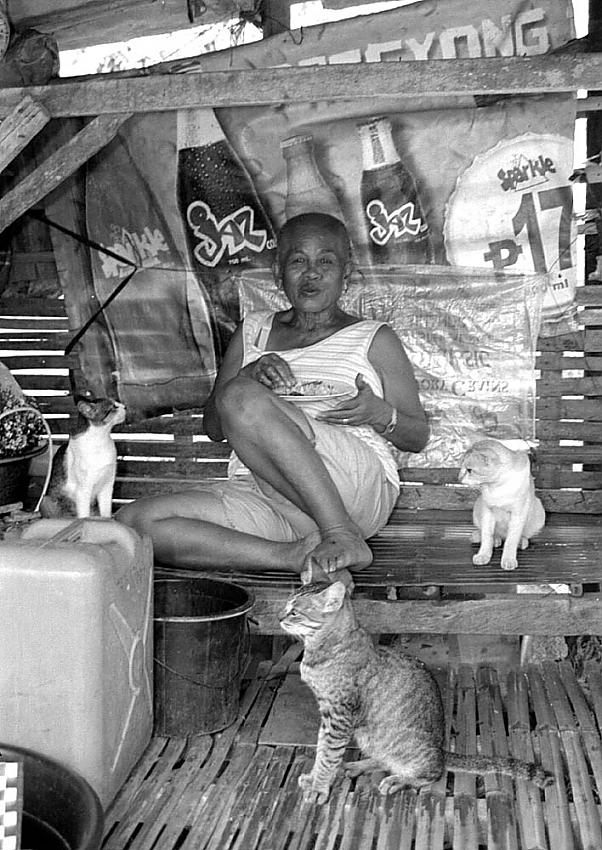 The Cat Lady
