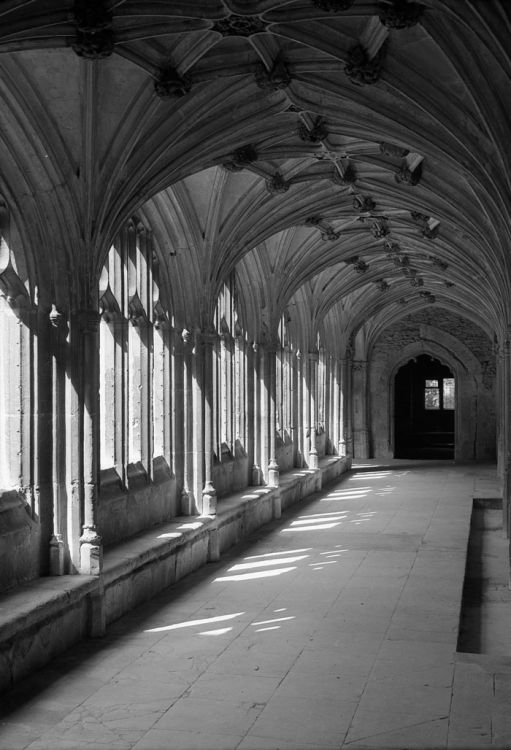 The Cloisters, Lacock Abbey