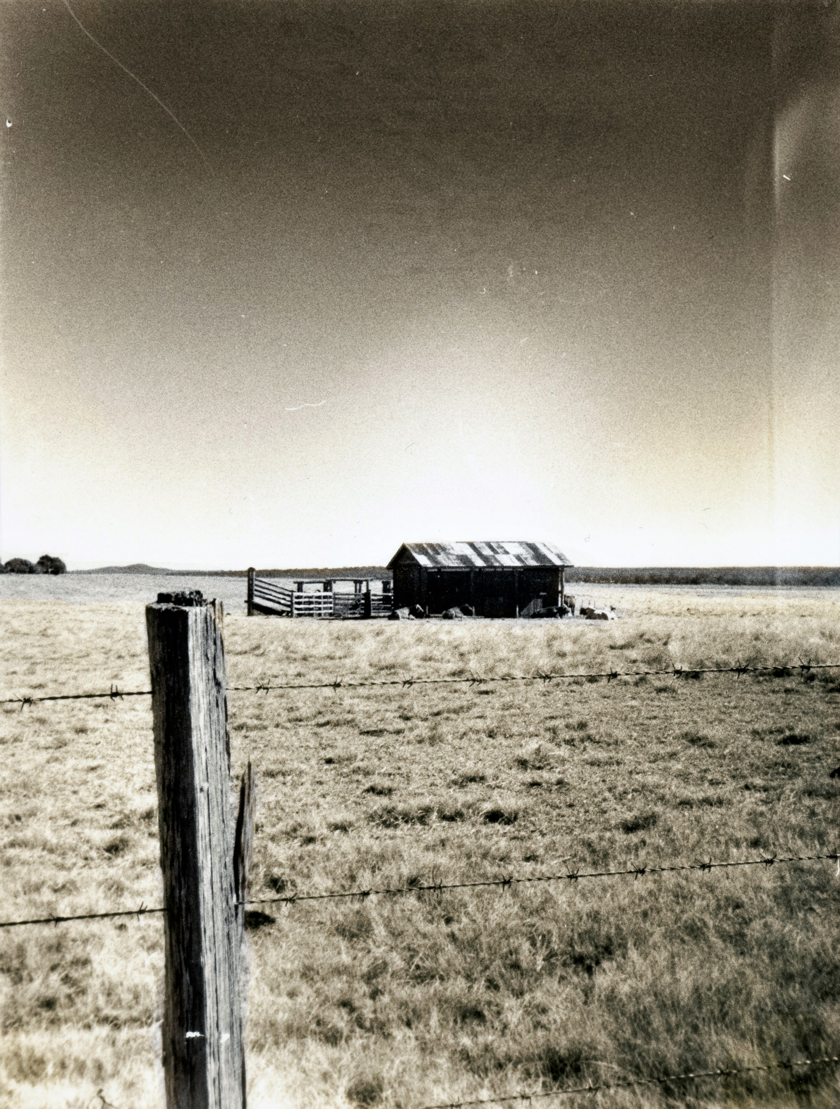 The Cow House