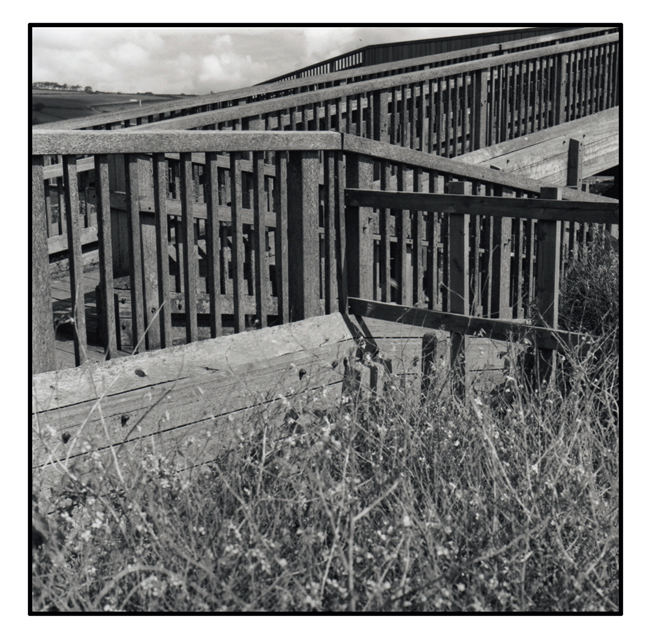 The Crossing