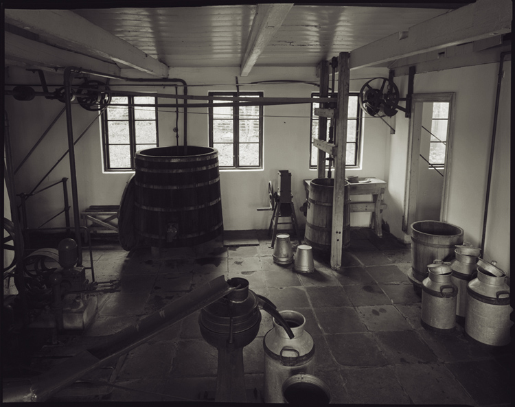the dairy