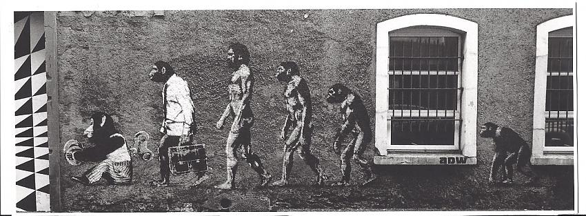 The Descent of Man