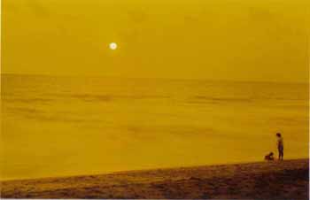 The Desert of the Ocean
