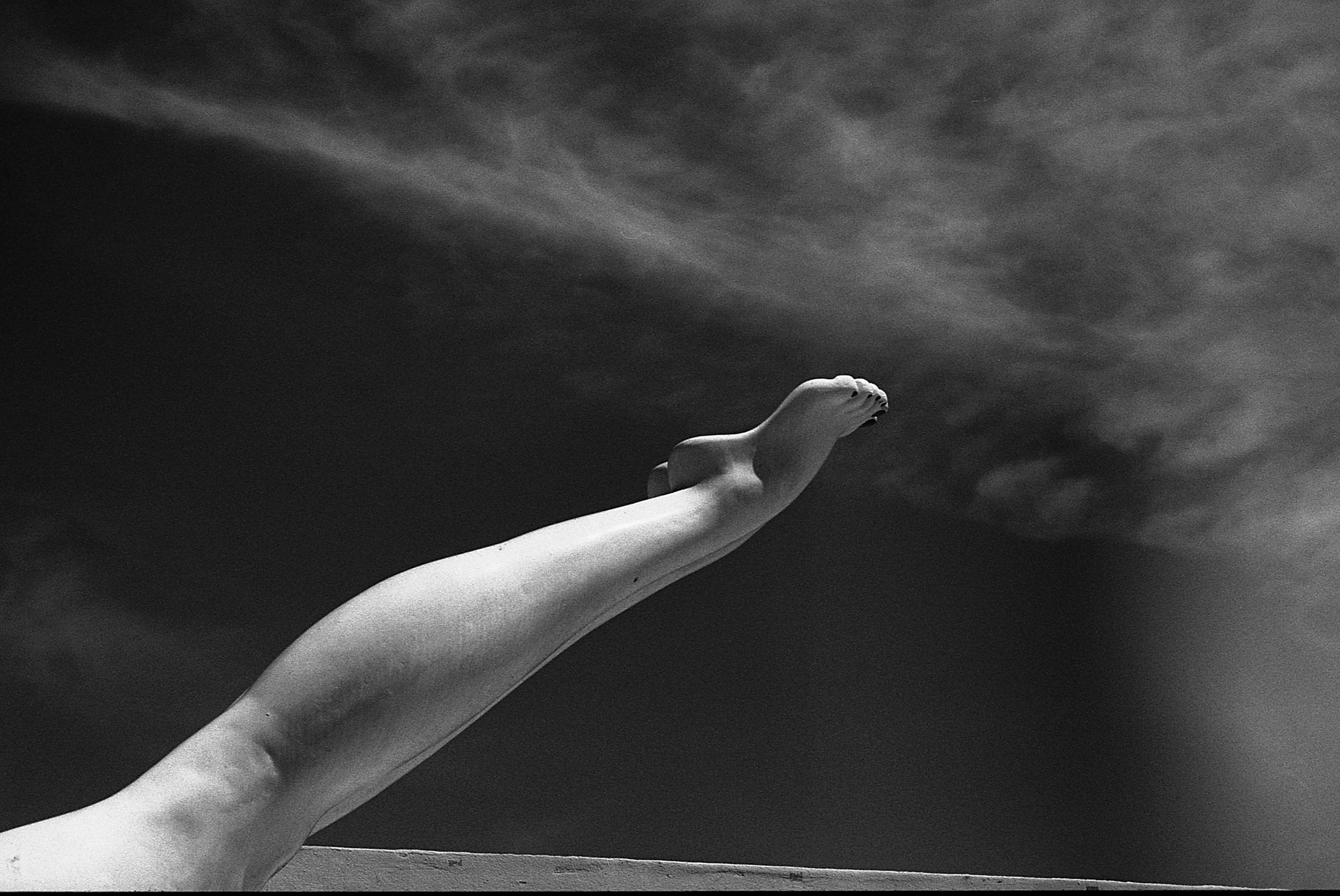 The Dive