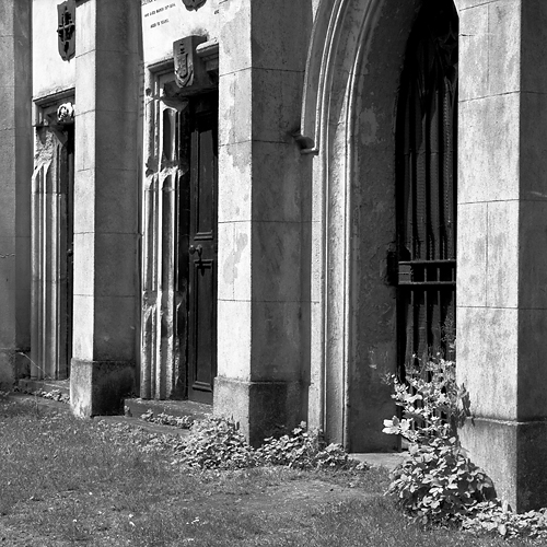 The doors through