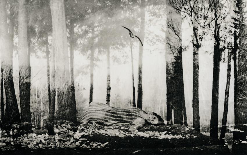 The Dreamer - Negative overlay