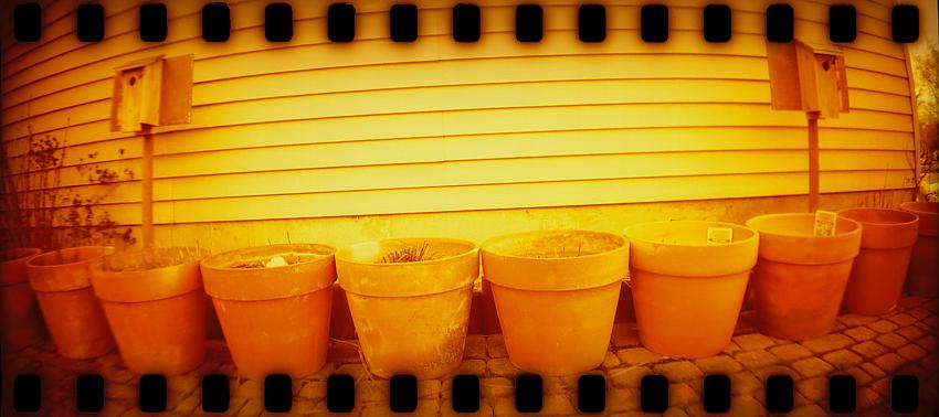 The eerie of redscale