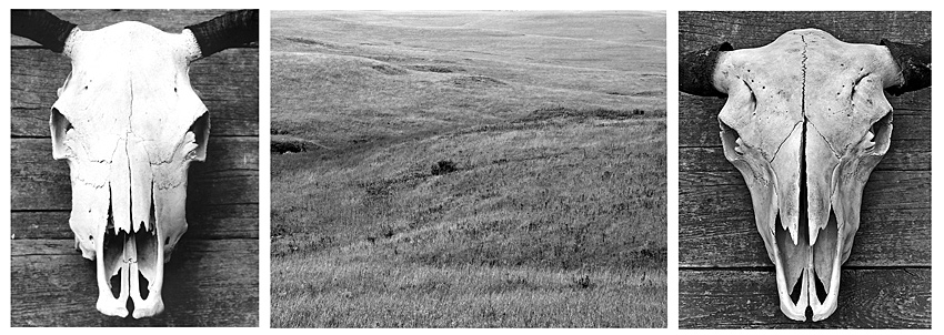 The Flint Hills Legacy - Triptych