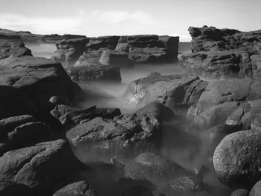 The Fog
