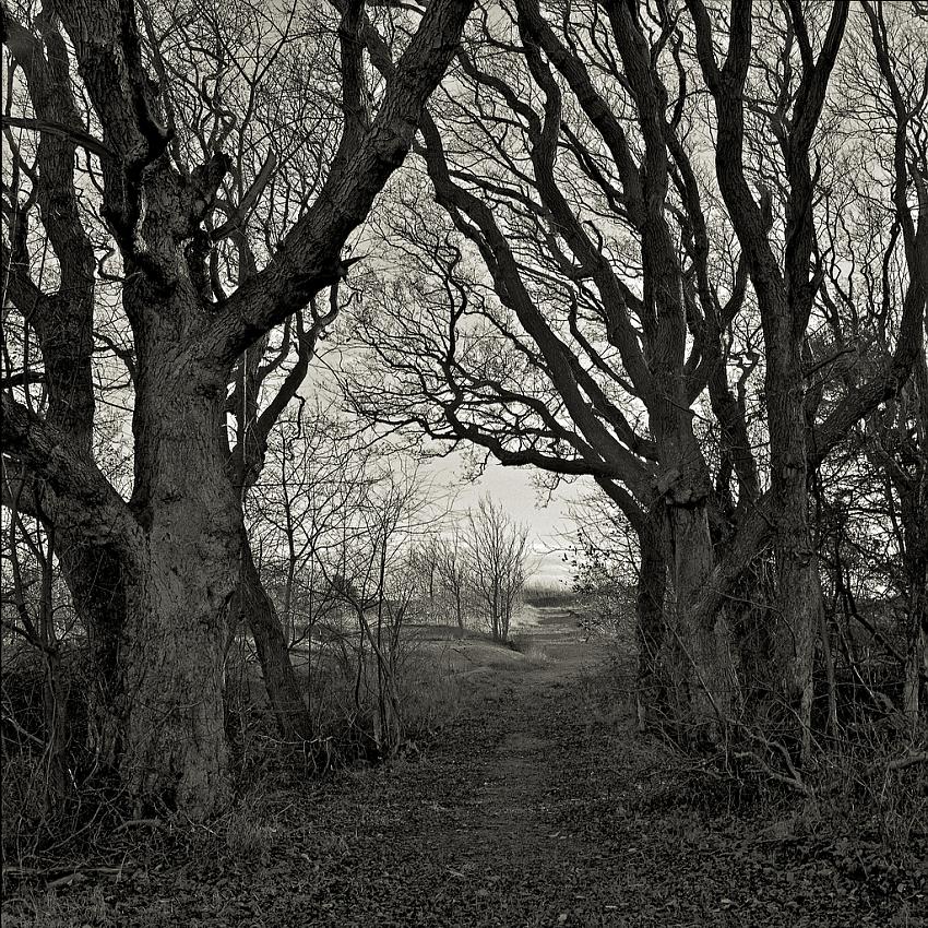 The footpath