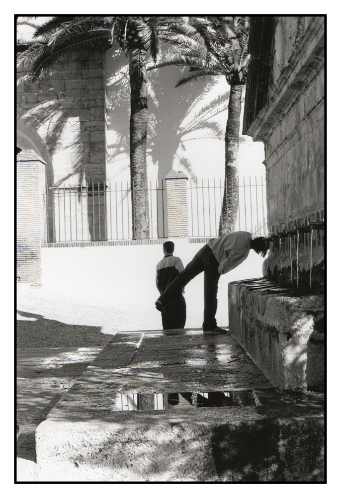 The Fountain of Youth