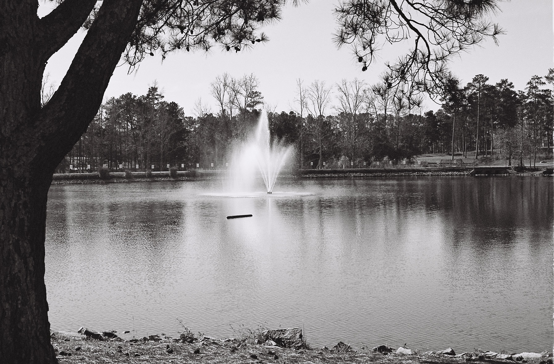 The Fountain