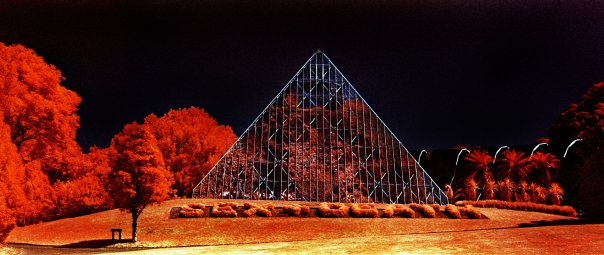 The Garden of Sex and Death